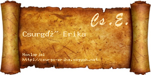 Csurgó Erika névjegykártya
